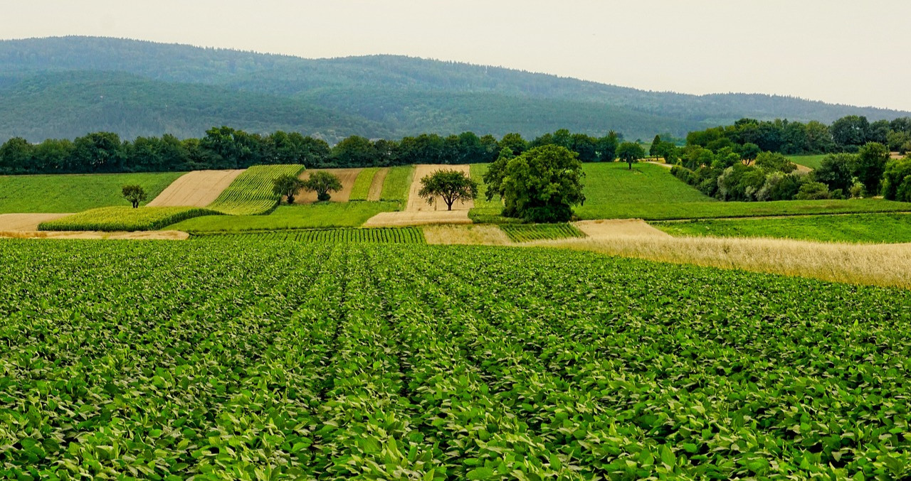 Climate-Smart Agriculture: Innovations for Food Security in a Changing Climate