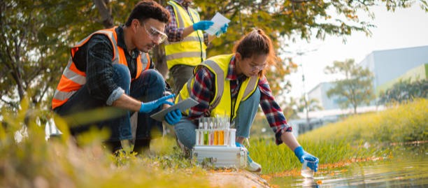 Environmental & Social Impact Consultancies