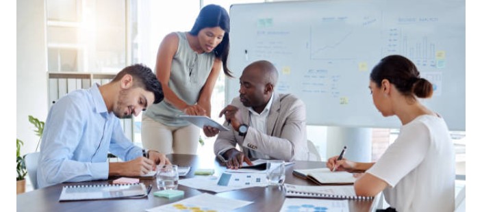 International Development & Aid Consulting