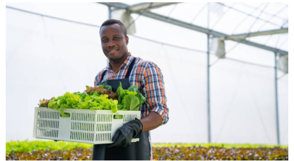 Agribusiness Management and Entrepreneurship Training Course