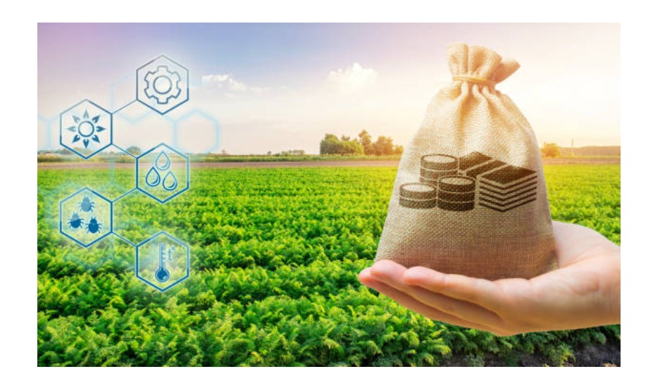 Agricultural Marketing and Value Chains Training Course