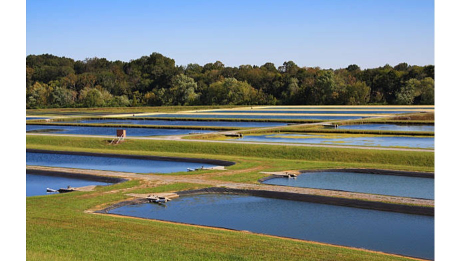 Aquaculture and Fish Farming Training Course