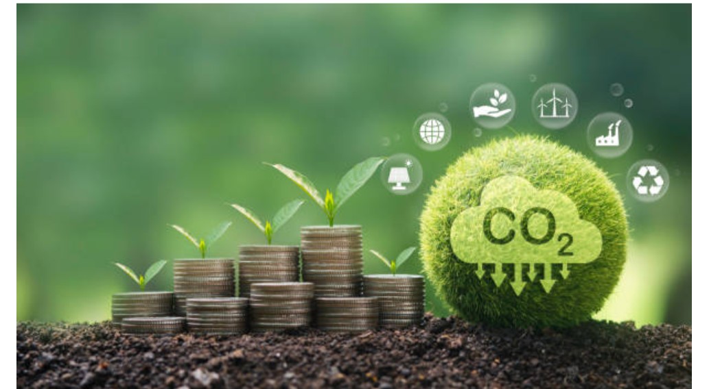 Carbon Markets and Climate Finance Mechanisms Training Course