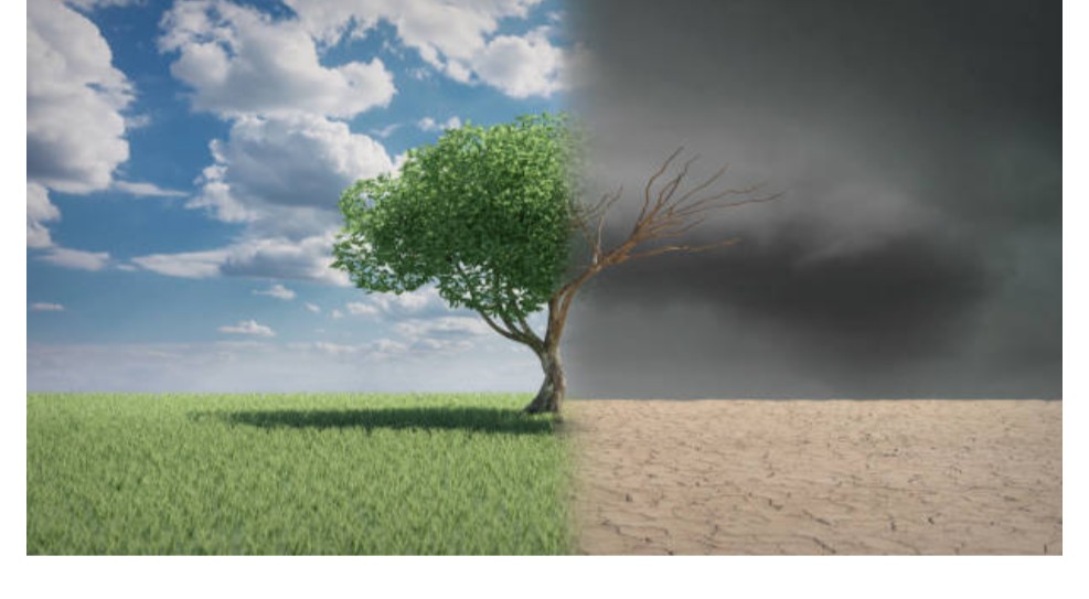 Climate Change Adaptation Strategies and Planning Training Course