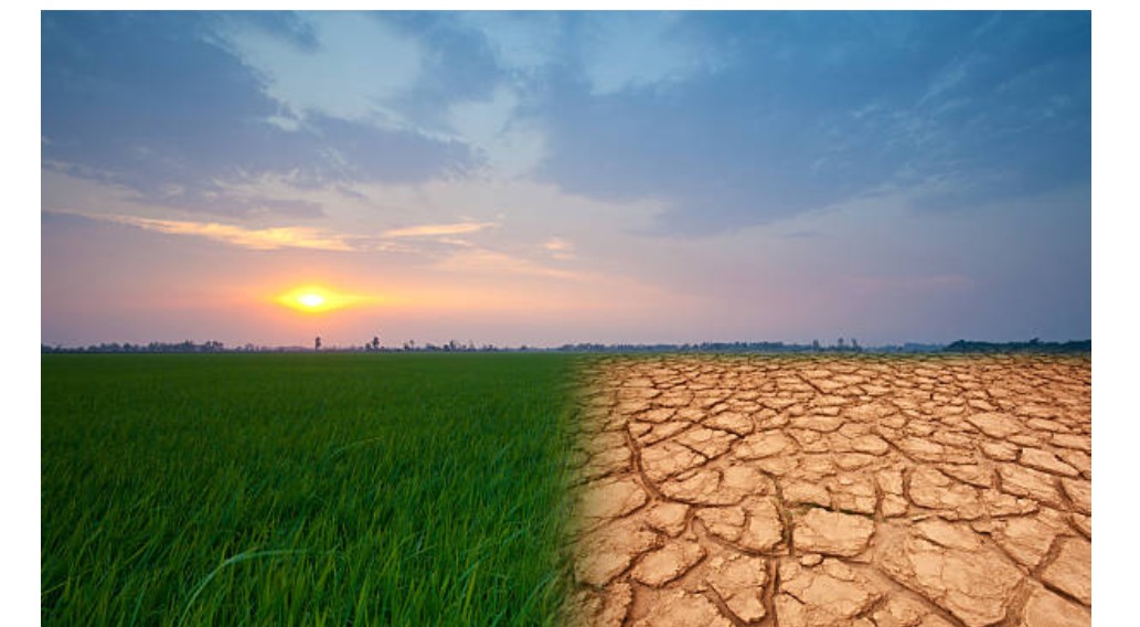 Climate Change Impacts on Food Security and Adaptation Strategies Training Course