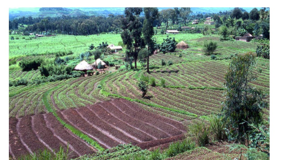 Climate-Smart Agriculture Techniques Training Course