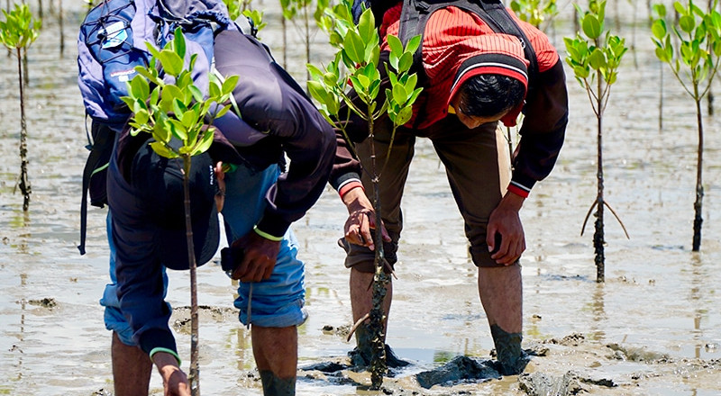 Community-Based Natural Resource Management Training Course