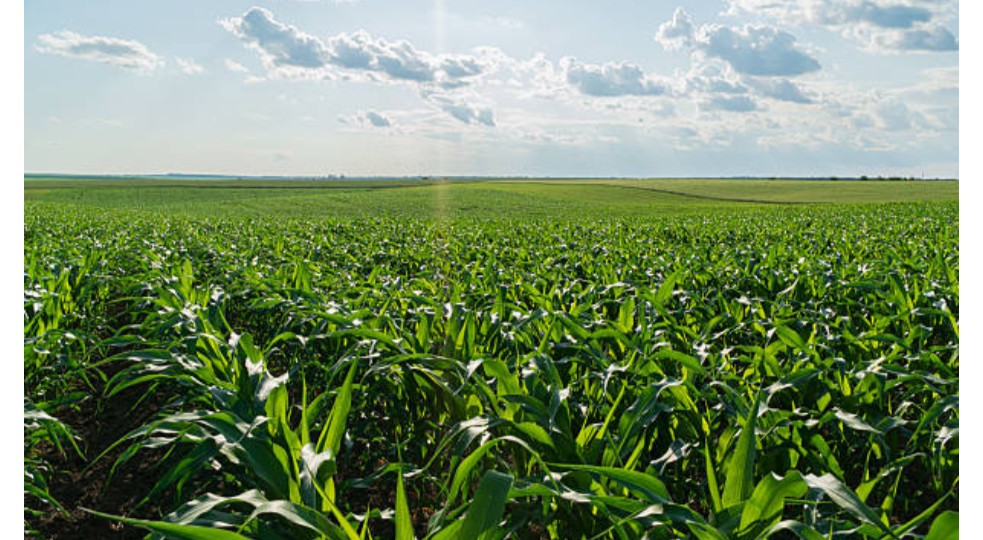 Crop Production Management Training Course