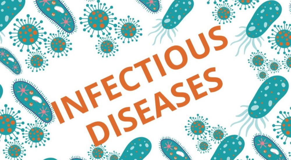 Disease Outbreak Data Analytics with R and Power BI Training Course