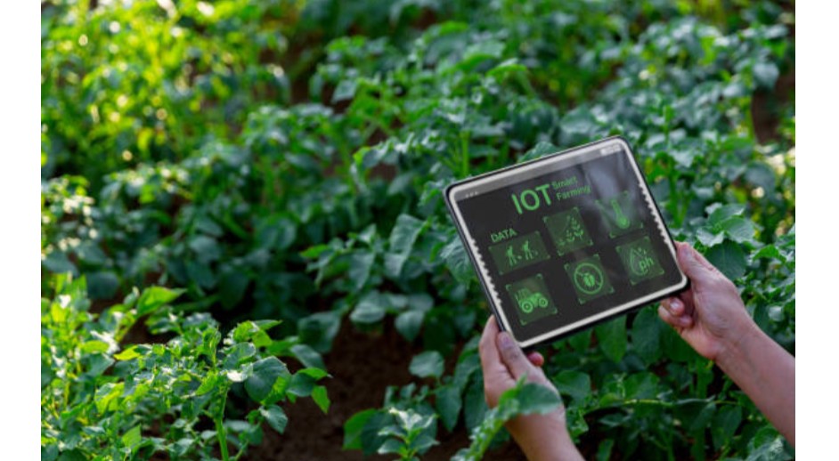 Early Warning Systems and Food Security Information Training Course