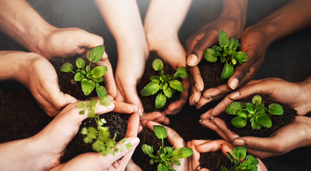 ENVIRONMENTAL SAFETY AND SUSTAINABILITY TRAINING COURSE