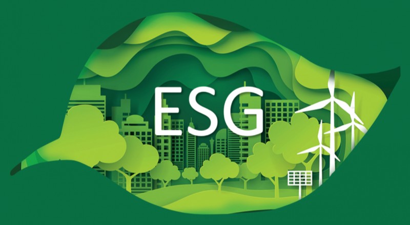 ESG Reporting and Disclosure Using Standards & Frameworks Training Course
