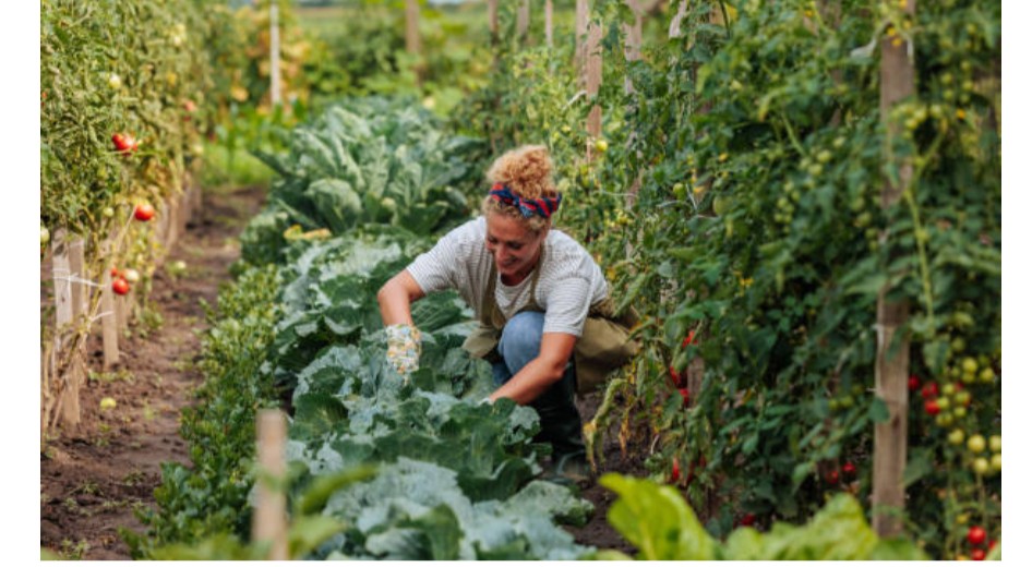 Gender and Food Security Training Course
