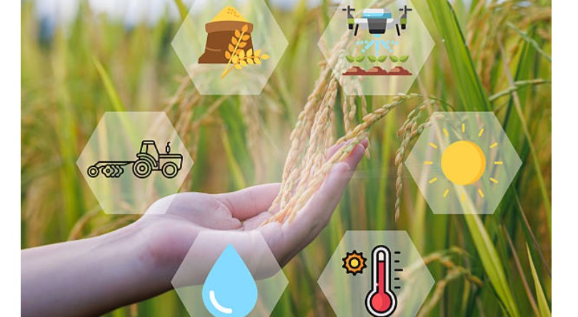GIS for Agriculture and Food Security Training Course