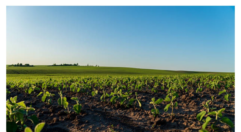 Horticulture Production and Management Training Course