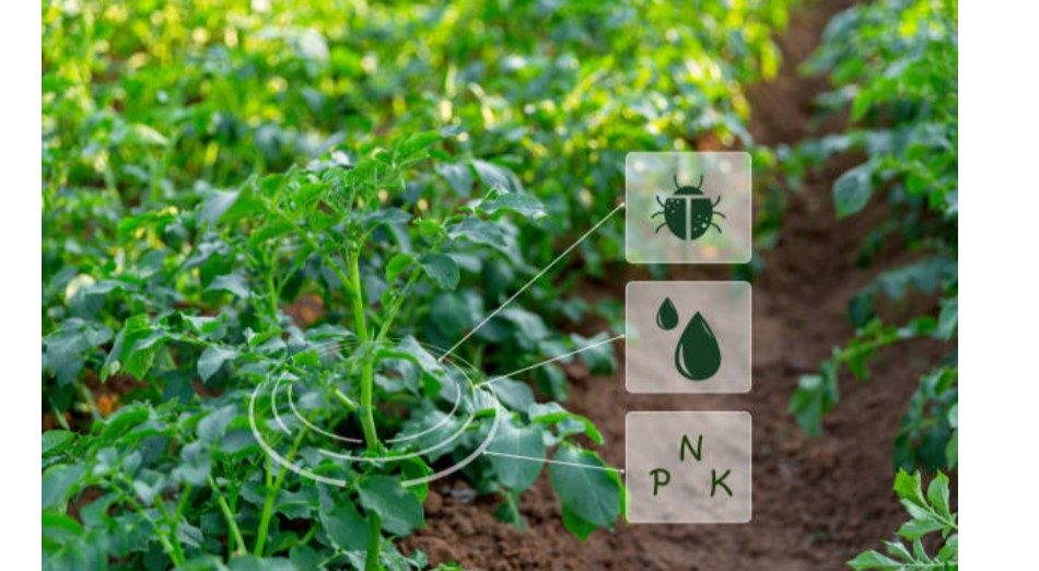 Integrated Pest and Disease Management (IPDM) Training Course
