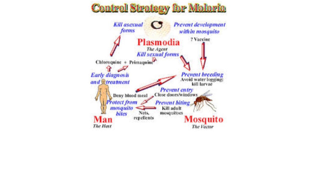 Management of Malaria Control Programs Training Course