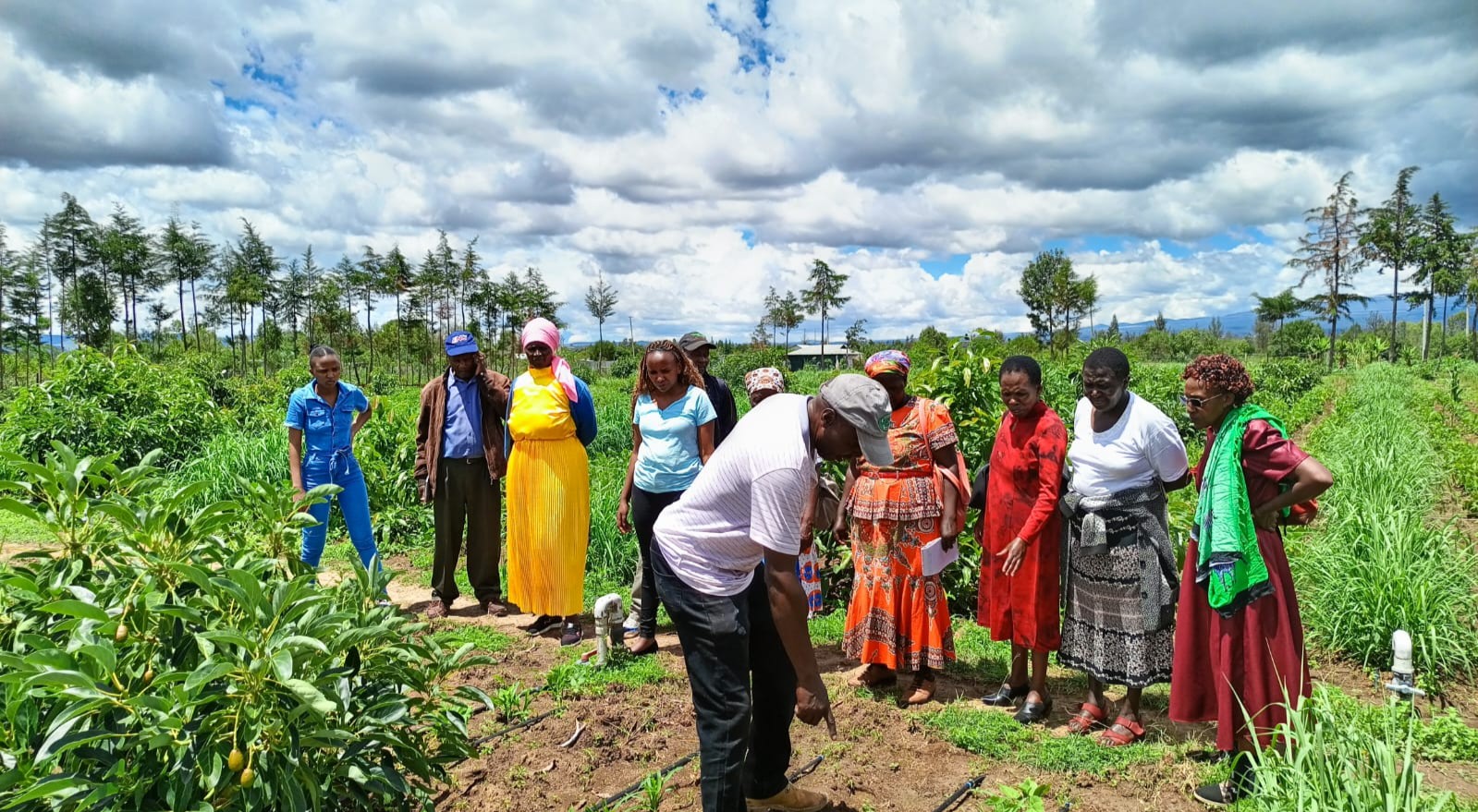 Monitoring, Evaluation, Accountability, and Learning for Agricultural Projects Training Course
