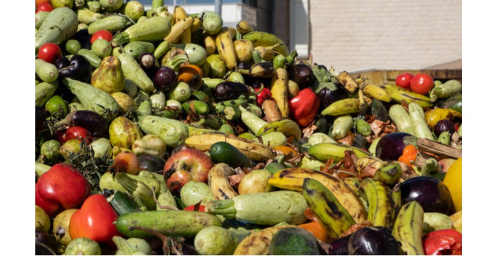 Post-Harvest Loss Management and Food Waste Reduction for Food Security Training Course