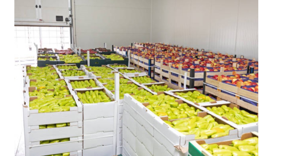 Post-Harvest Management and Food Processing Training Course