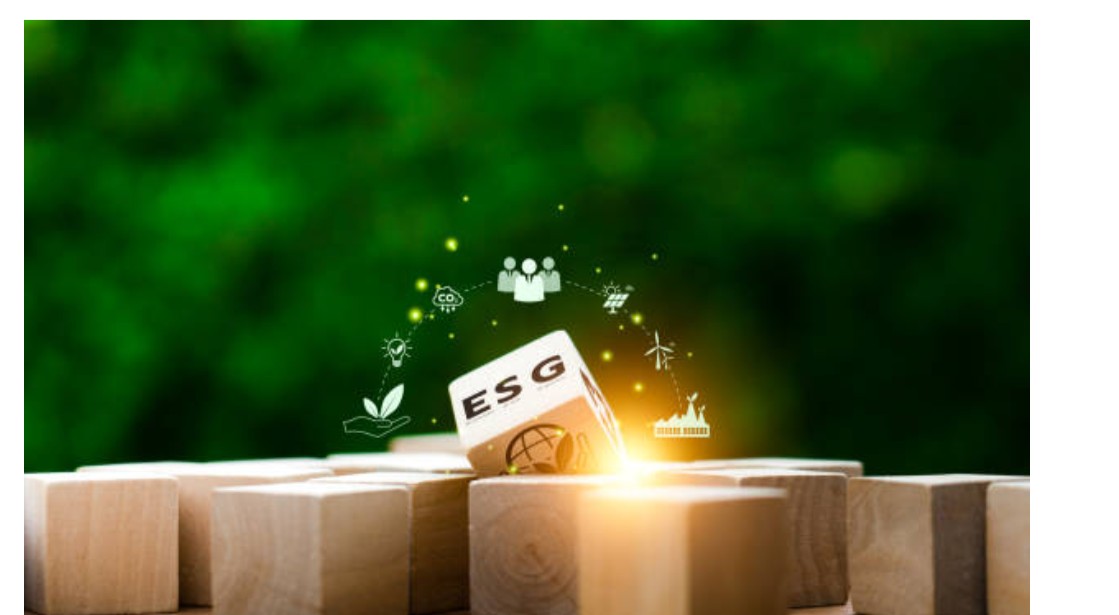 Sustainability and ESG Integration in Strategic Decision-Making Training Course