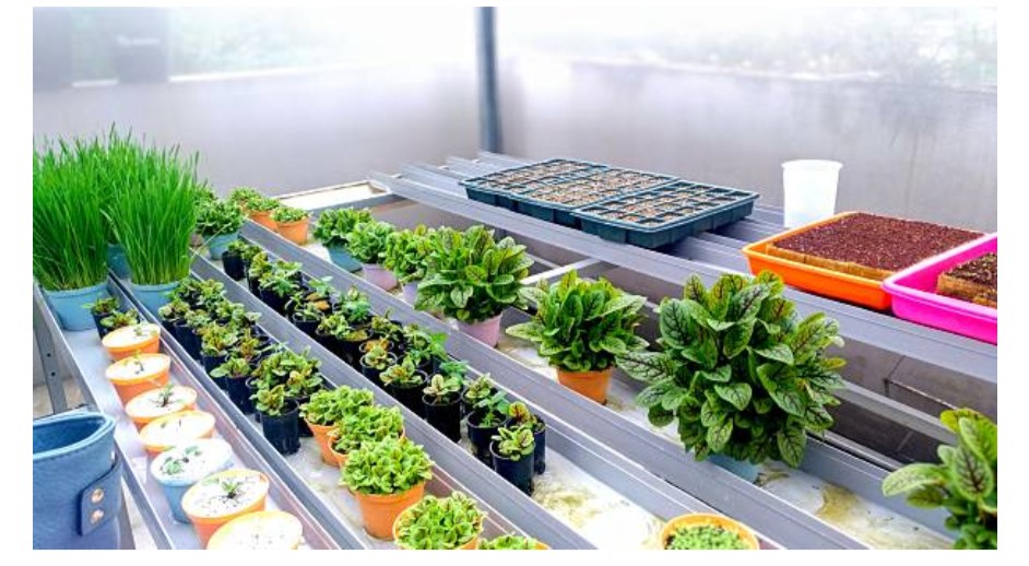 Sustainable Food Systems and Nutrition Training Course