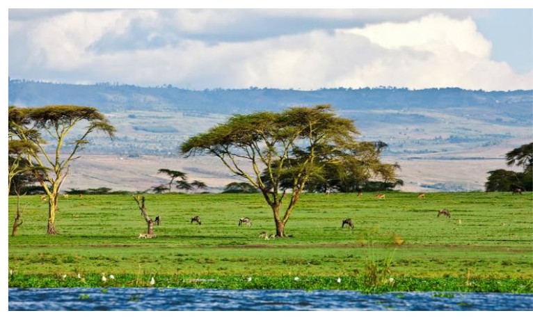 Naivasha, Kenya